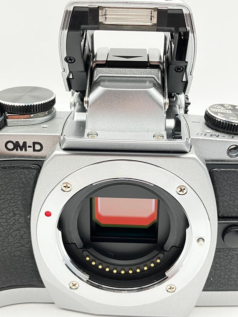 OLYMPUS OM-D E-M10 ミラーレス一眼カメラ　シャッター9629回