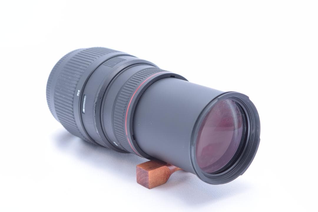 シグマ SIGMA APO DG 70-300mm f4-5.6 Nikon