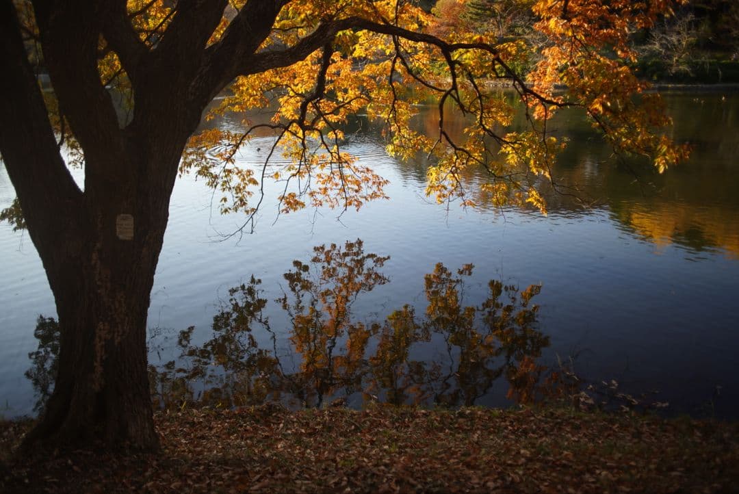 【動作確認済】SMC PENTAX-M 28mm f2.8 純正付属品付き