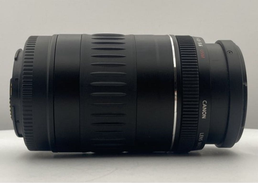 美品/望遠レンズ/Canon EF 90-300mm F4.5-5.6 USM