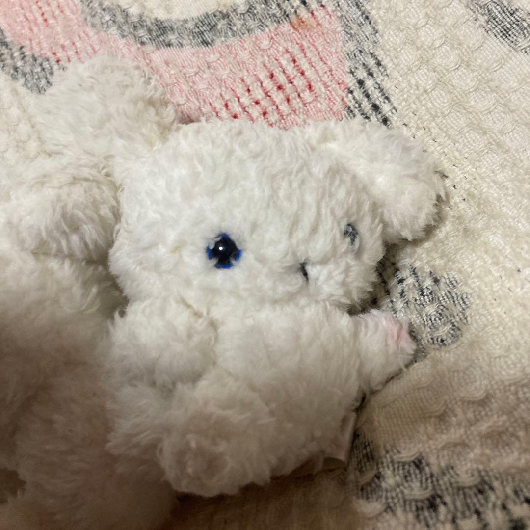 サンエックス SAN-X ぶるぶるどっぐ 震えるぬいぐるみマスコット 中古