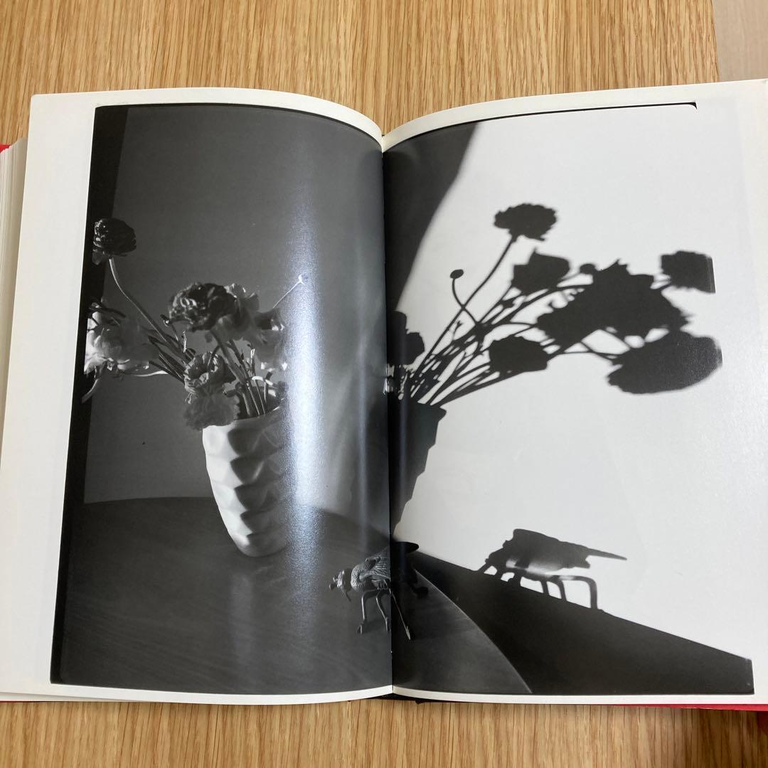 【アラーキー写真集】写真私情主義