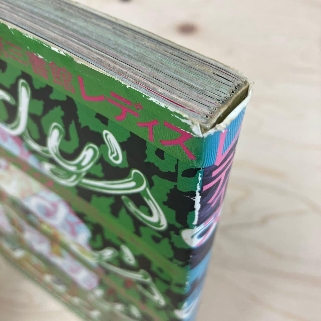 レディス 木村英輝 坪内成晃 第三書館