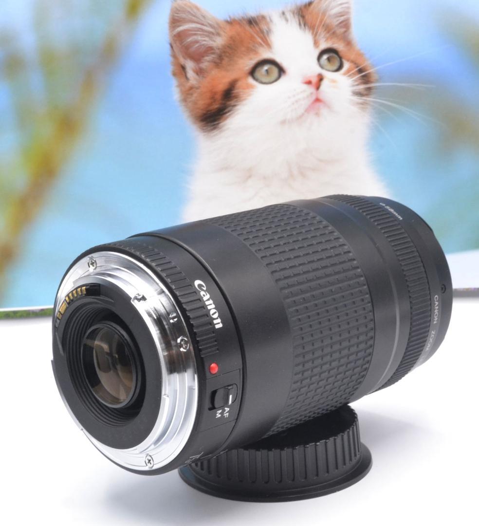 最高の瞬間を望遠で！ Canon キヤノン 望遠レンズ EF75-300mm＃⑧