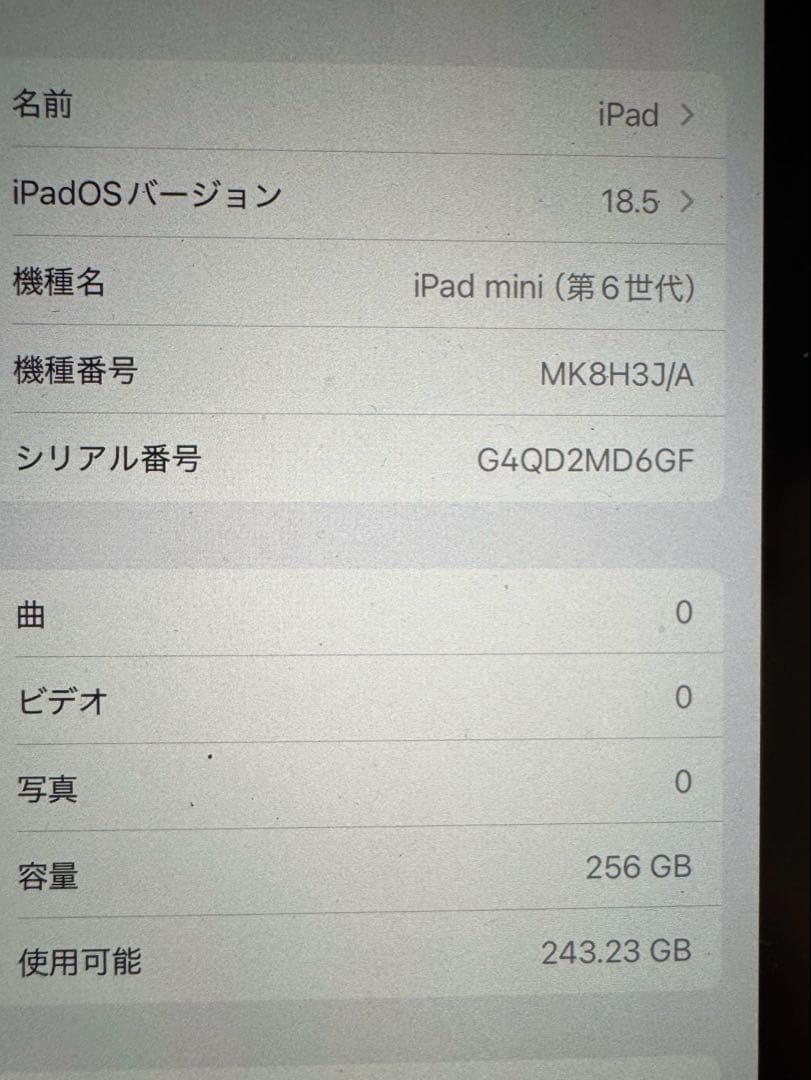 iPad本体 iPad mini 6 Cellular 256GB