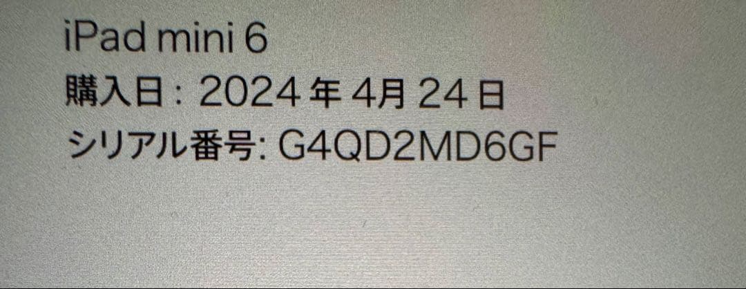 iPad本体 iPad mini 6 Cellular 256GB