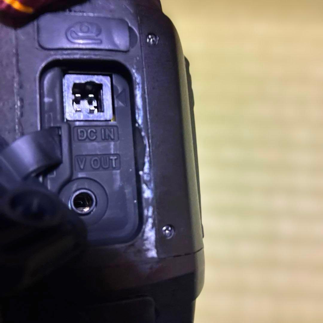 Nikon D70s レンズ SIGMA AF 28-300mm