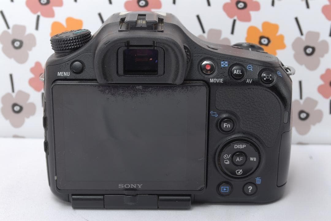 ❤SONY α65❤1秒10コマの高速連射❤トリプルレンズ❤超望遠❤超高画質❤