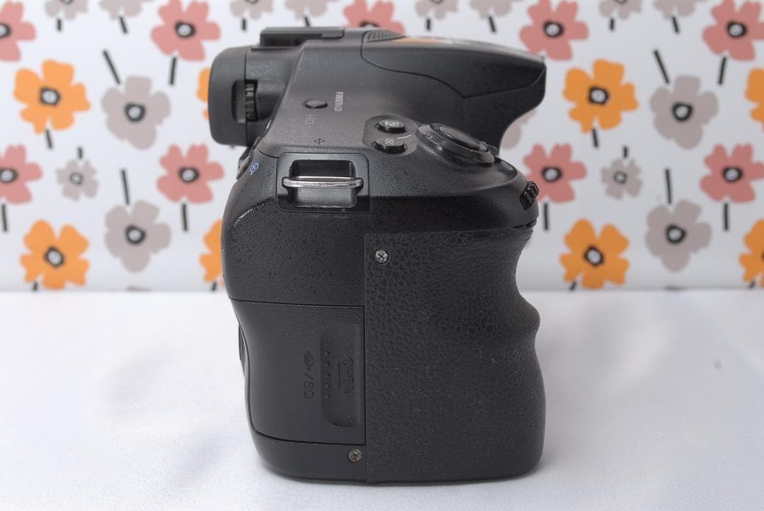 ❤SONY α65❤1秒10コマの高速連射❤トリプルレンズ❤超望遠❤超高画質❤