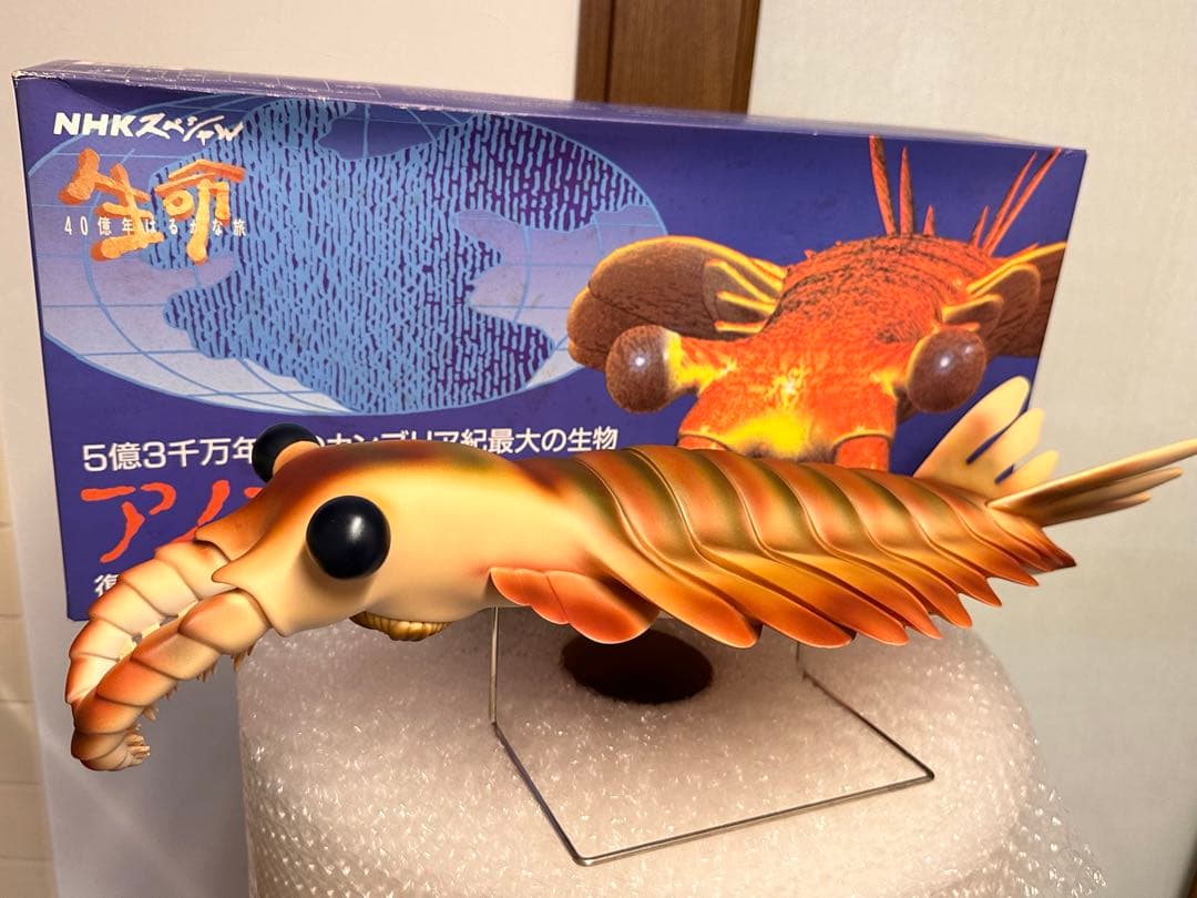 カンブリア紀 アノマロカリス フィギュア 化石 復元モデル NHK
