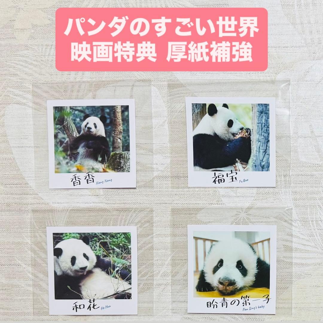 パンダのすごい世界 香香 福宝 和花 盼青の第一子 入場者特典 入場