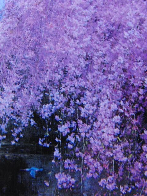 三栖右嗣、爛漫、希少画集画、新品高級額・額装付、状態良好