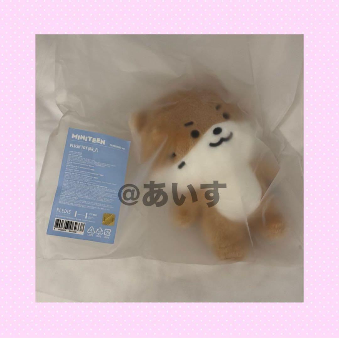 SEVENTEEN MINITEEN ぬいぐるみ 大 ディノ チャンダリ - メルカリ