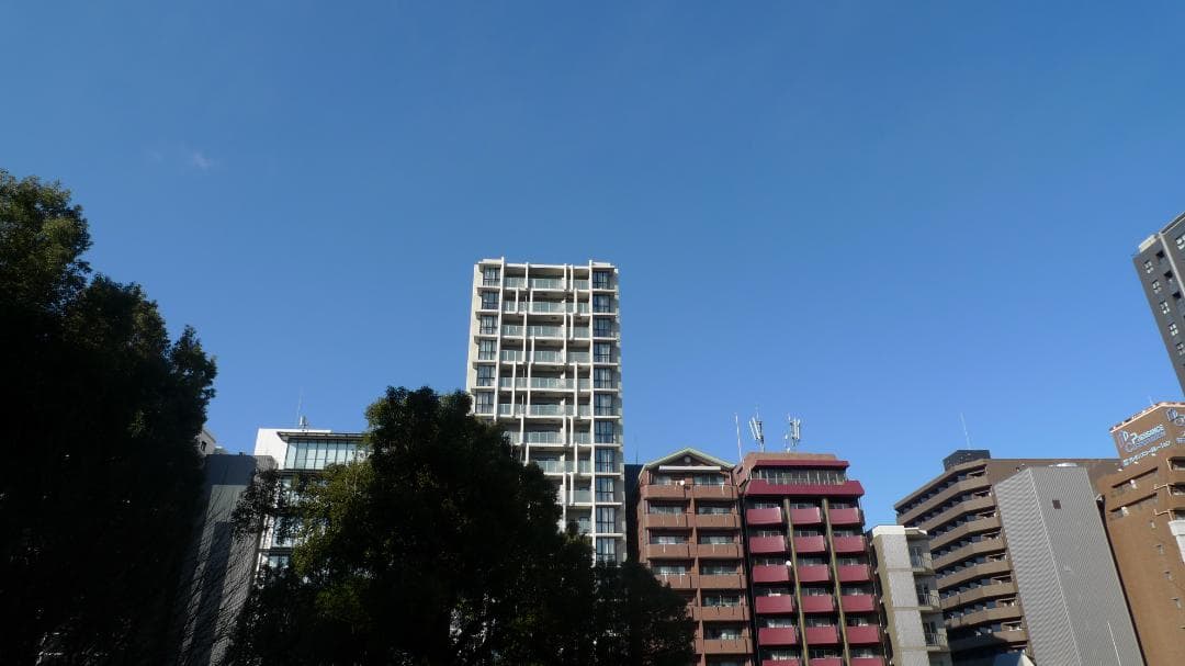 【美品】ライカ LEICA D-LUX4 コンパクトデジタルカメラ