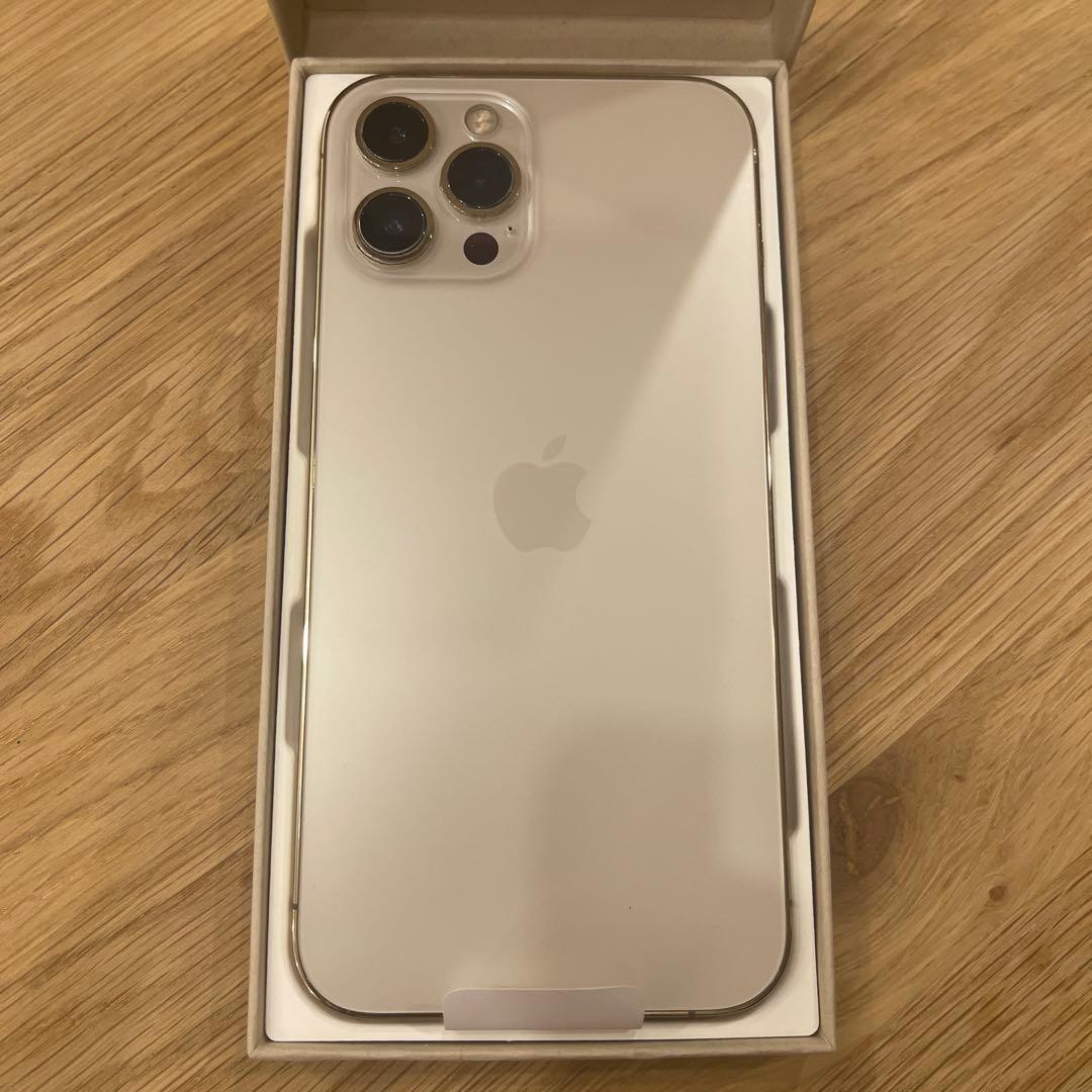 Apple iPhone 12 ProMax 香港版