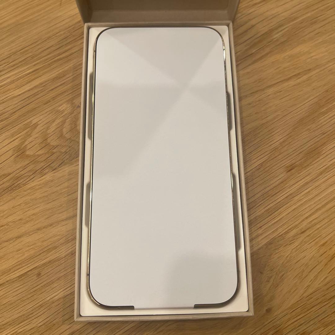 Apple iPhone 12 ProMax 香港版