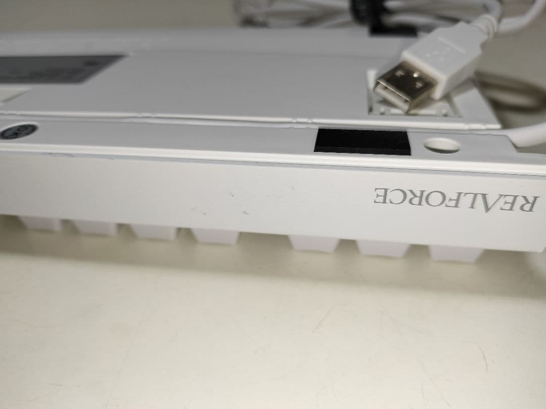 Realforce GX1 X1UC23 日本語 30g ホワイト