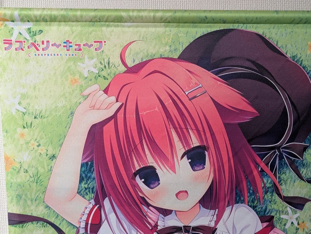 ラズベリーキューブ　狩野みなと　タペストリー3つセット