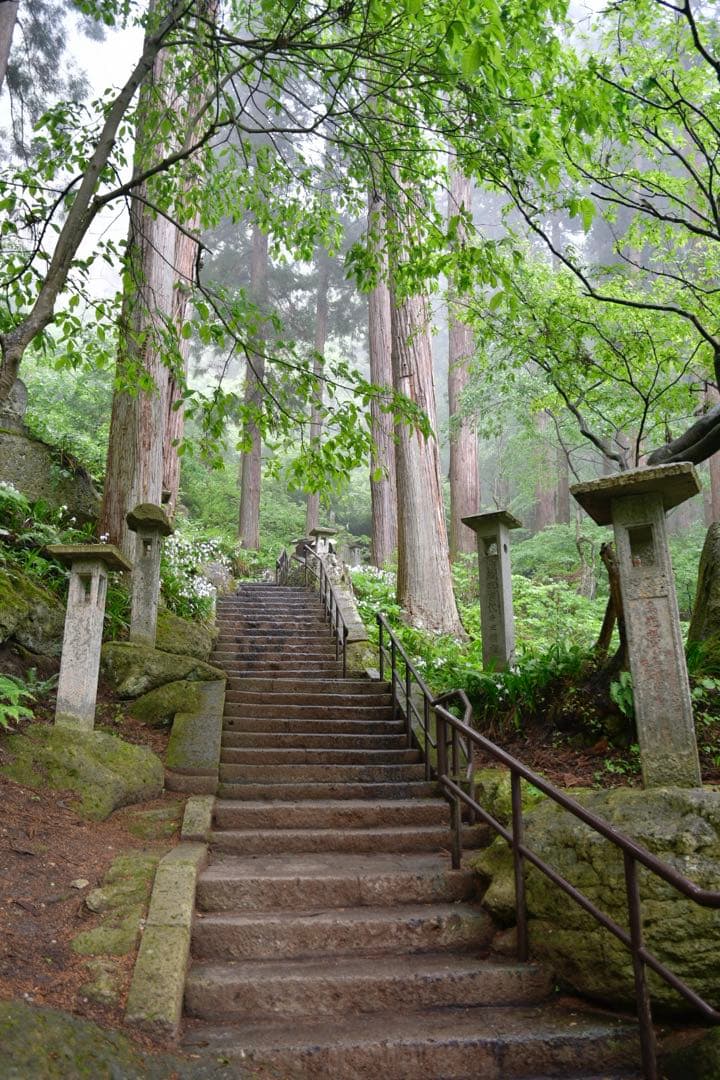 レンズ(ズーム) Nikon AF-S NIKKOR 16-80mm f/2.8-4E ED VR