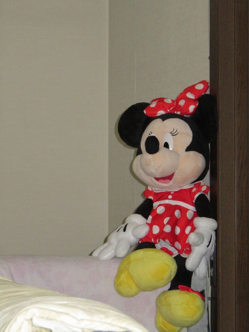 Canon PowerShot SX710 HS 動作確認済み