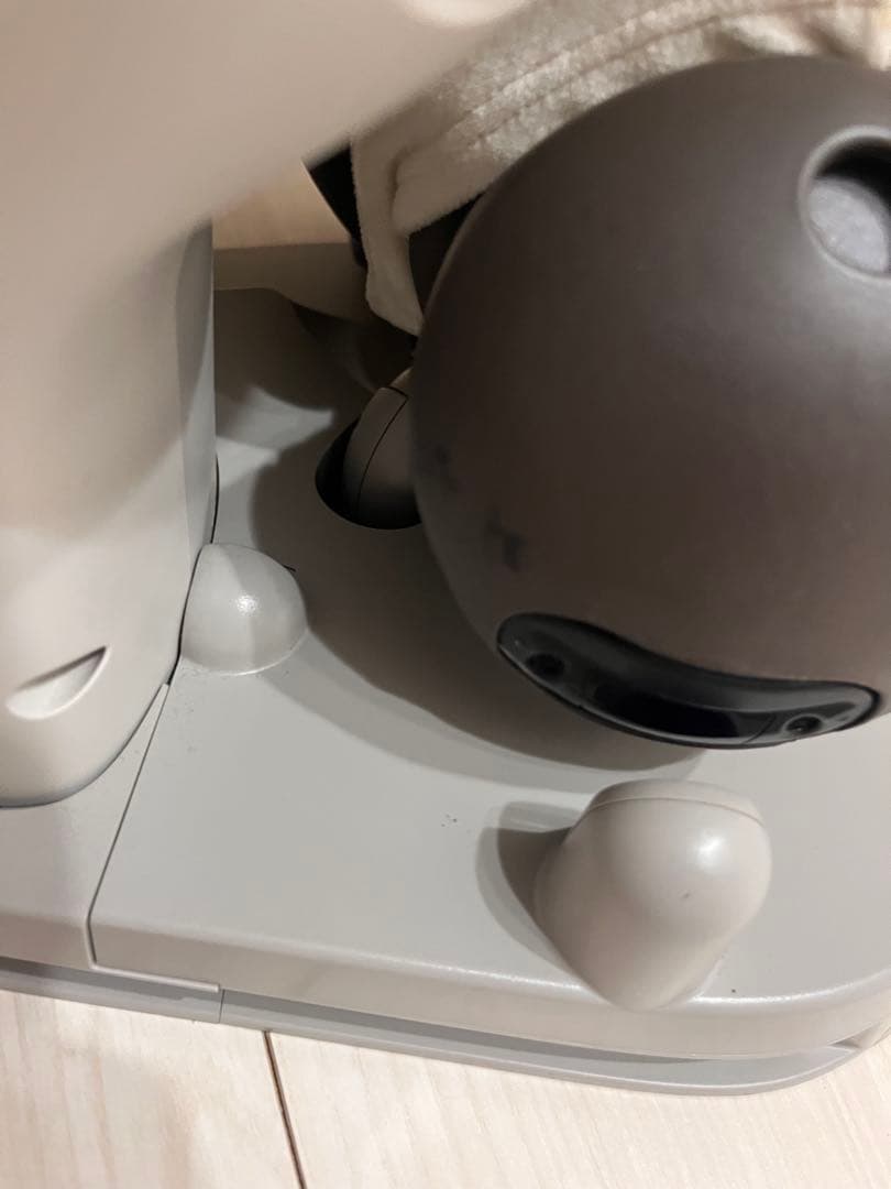 LOVOT 初代 デュオ 2020年頃購入 - メルカリ