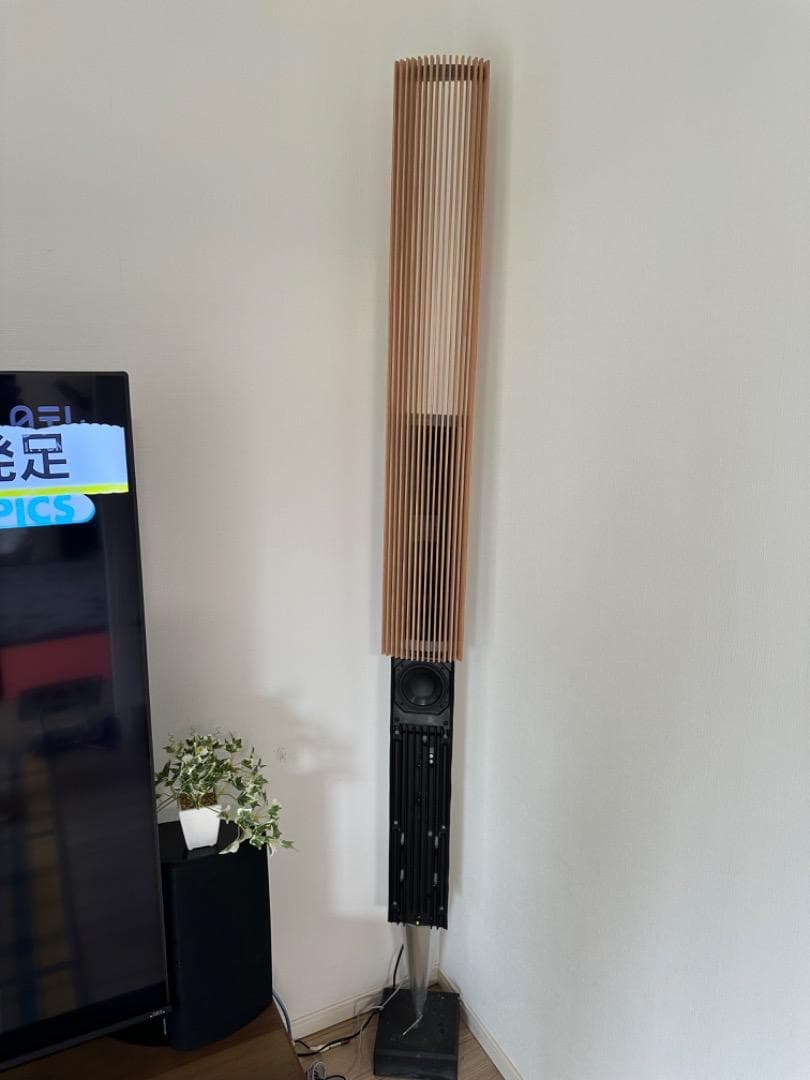 Bang & Olufsen 8000用の木製カバーです