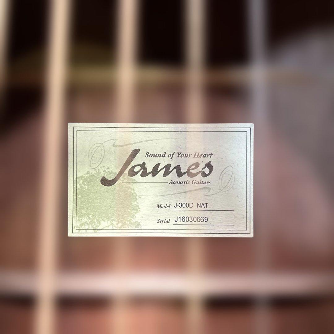 6911 アコースティックギター James ジェームス J-300D NAT ギター www