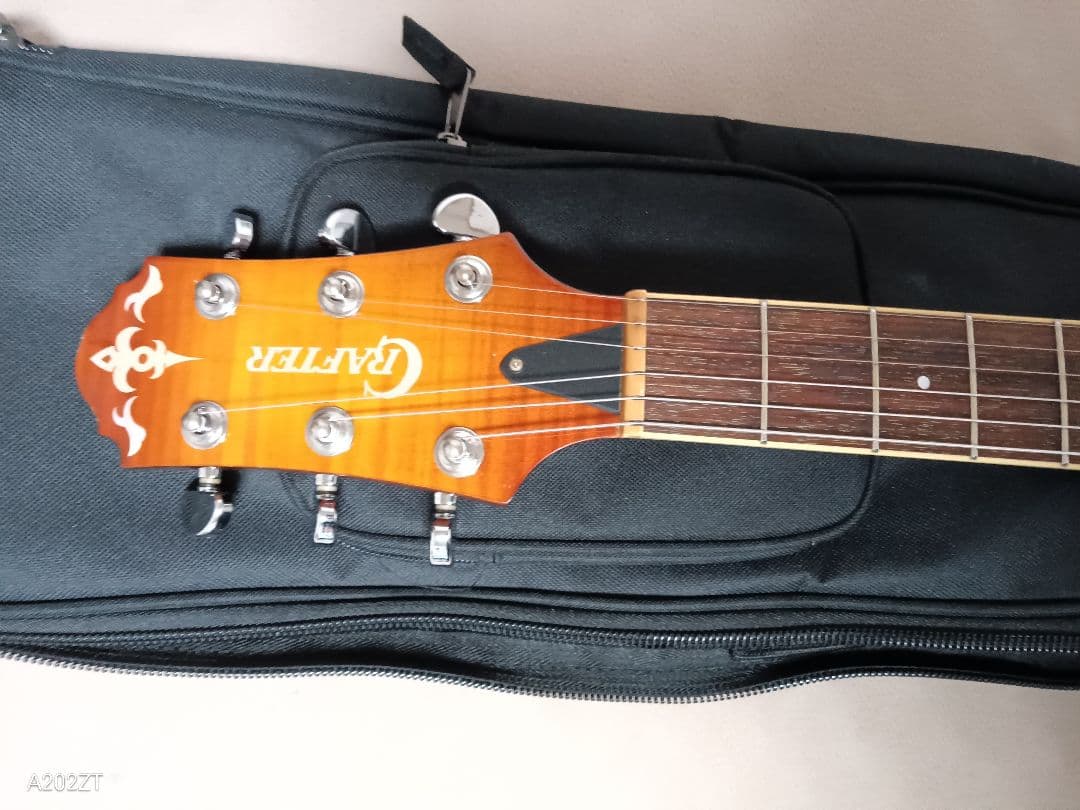 CRAFTER SA-TMVS セミアコ エレキギター ソフトケース付き 動作品