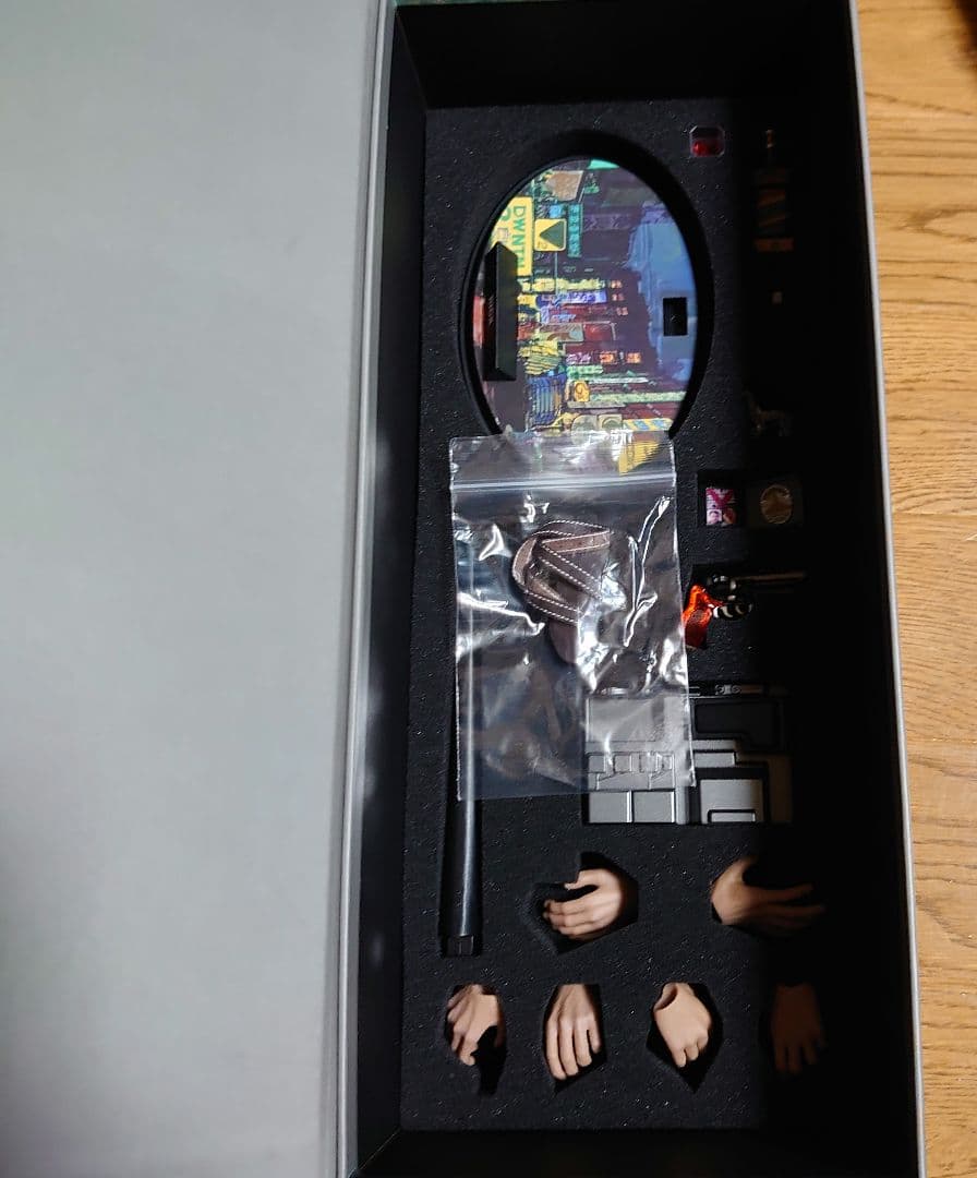 DARK TOYS DTM004 RICK 1/6 フィギュア ホットトイズ系 - メルカリ