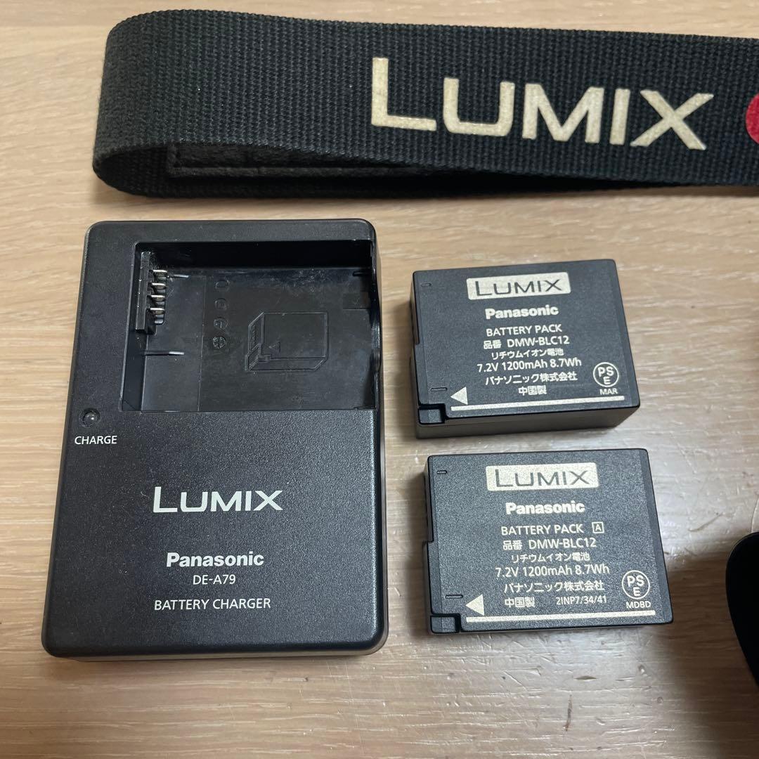 特別セール！《67000円→》LUMIX G デジタルカメラ 本体と付属品