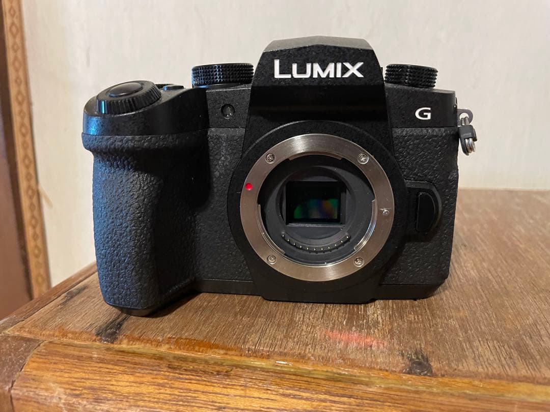 LUMIX G99 ミラーレス一眼　マイクロフォーサーズ