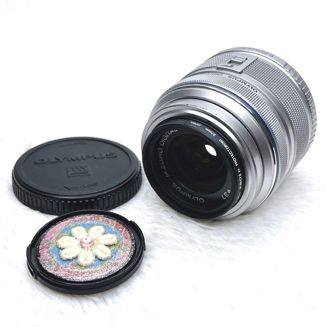 OLYMPUS PEN mini E-PM1 動作確認済 ミラーレス一眼