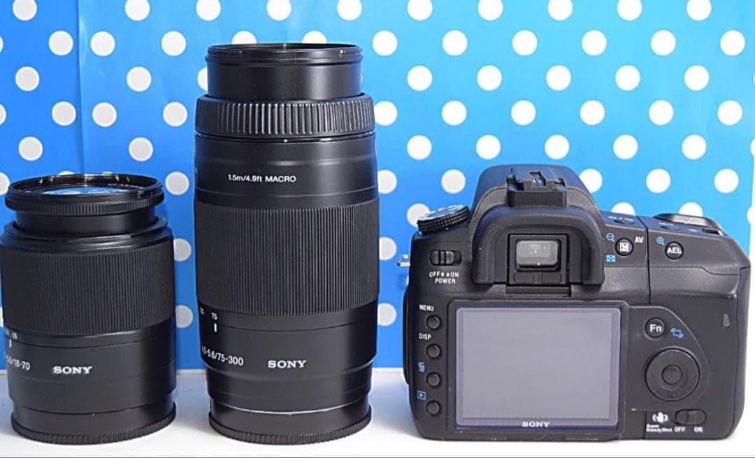 ✨極美品✨❤初心者オススメ❤✨スマホ転送OK✨SONYソニーα200✨