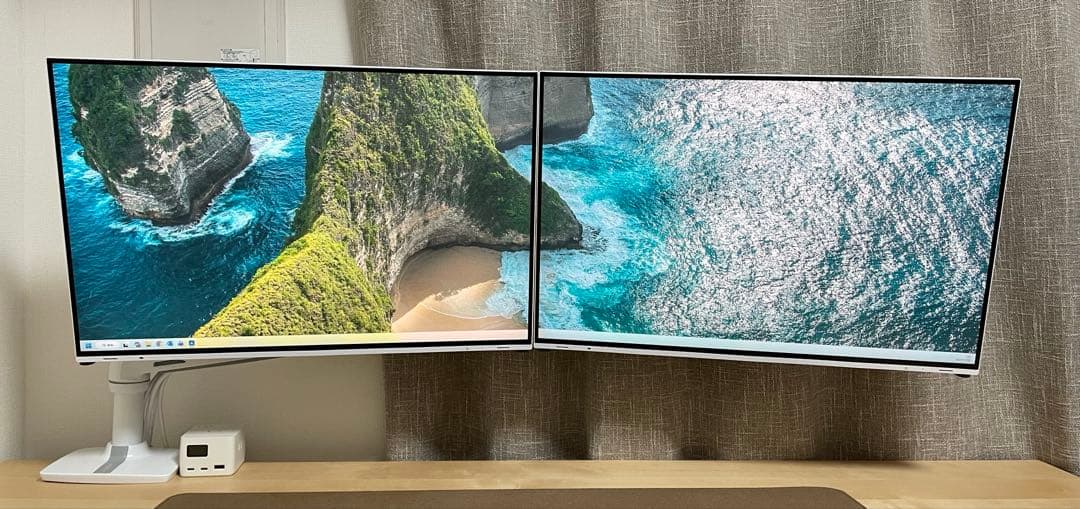 【シャー君】EIZO FlexScan EV2495 ×2