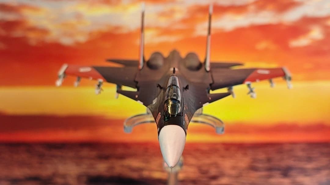 1/144 エースコンバット Su-30 ミハイ仕様 仕上げ改造品 電飾 - メルカリ