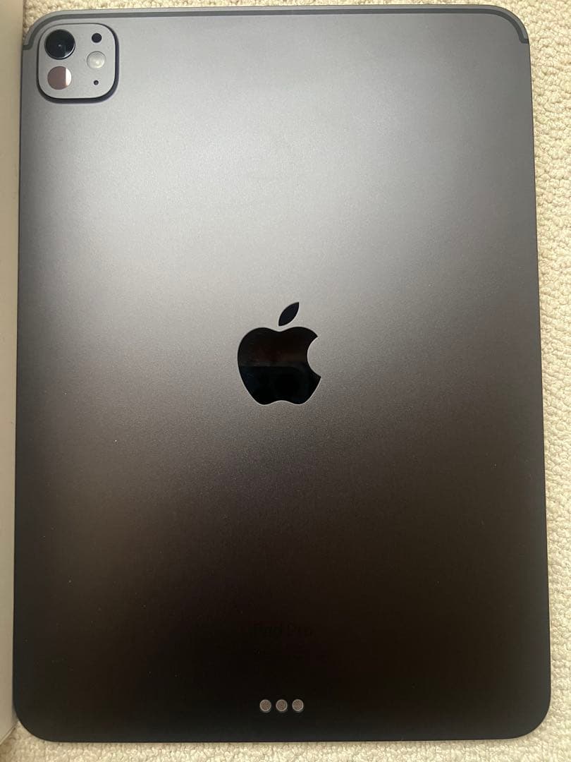 11インチiPad Pro M4 256GB Wi-Fi AppleCare加入