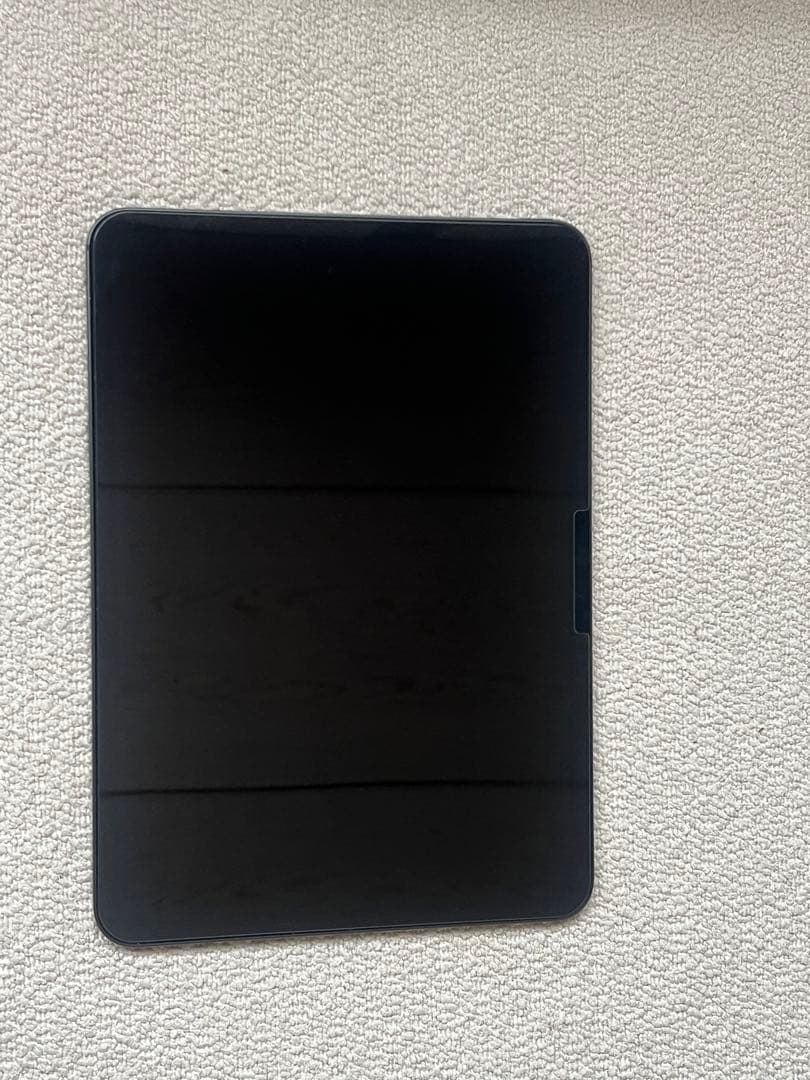 11インチiPad Pro M4 256GB Wi-Fi AppleCare加入