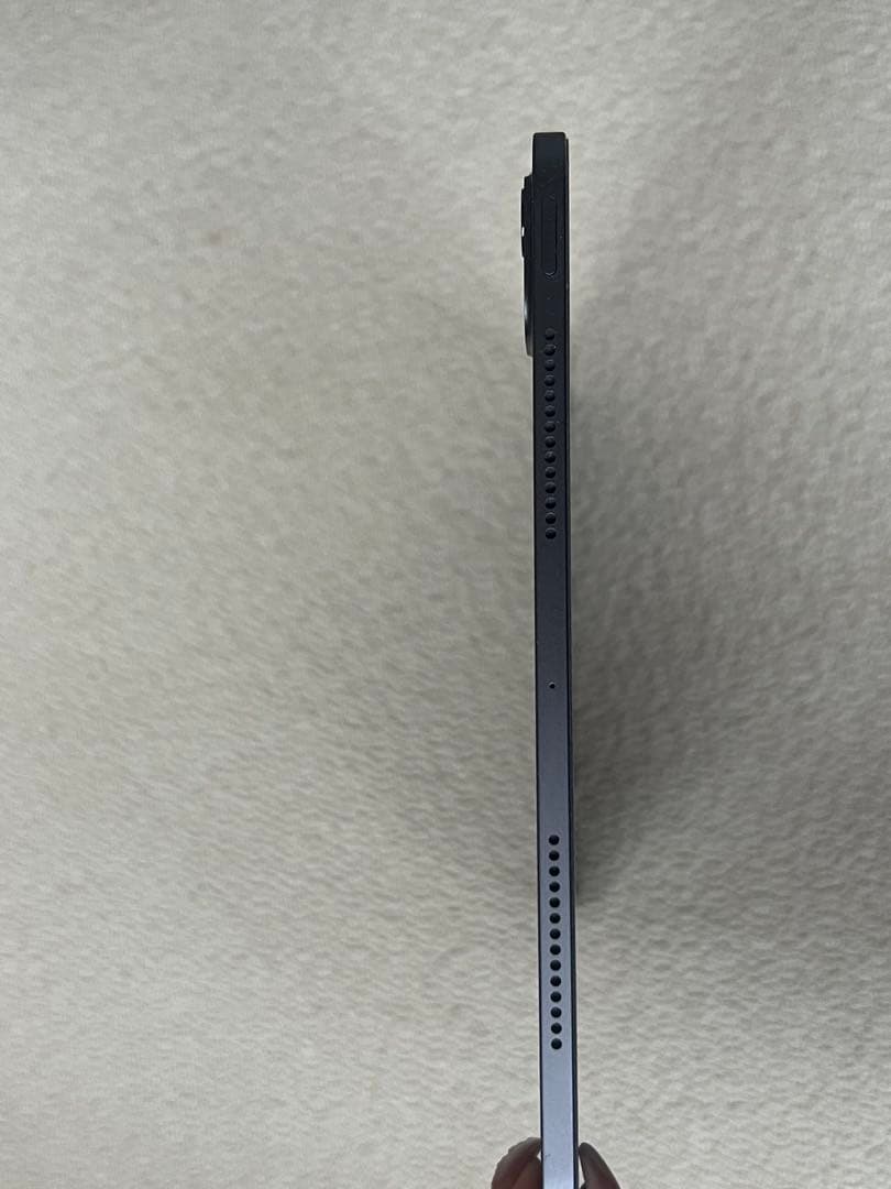 11インチiPad Pro M4 256GB Wi-Fi AppleCare加入