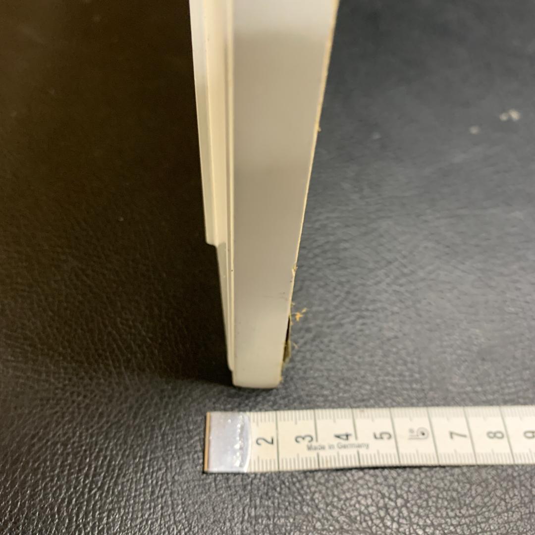 桜井 陽彦　水彩画　肉筆