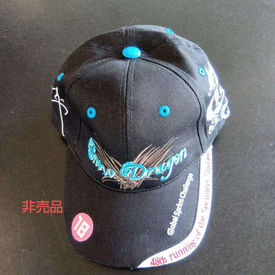 スノードラゴンのキャップ非売品 DRAGON ドラゴン FLAPCAP スノーボード キャップ ユニセックス