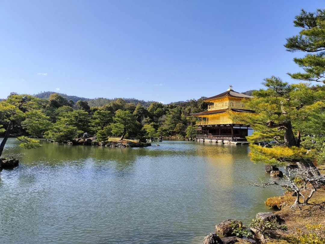 【たかぼー】6月11日テキスト出品 楽天市場】ほぼ日手帳 2026 HON［A6サイズ］［A5サイズ］1日1ページ