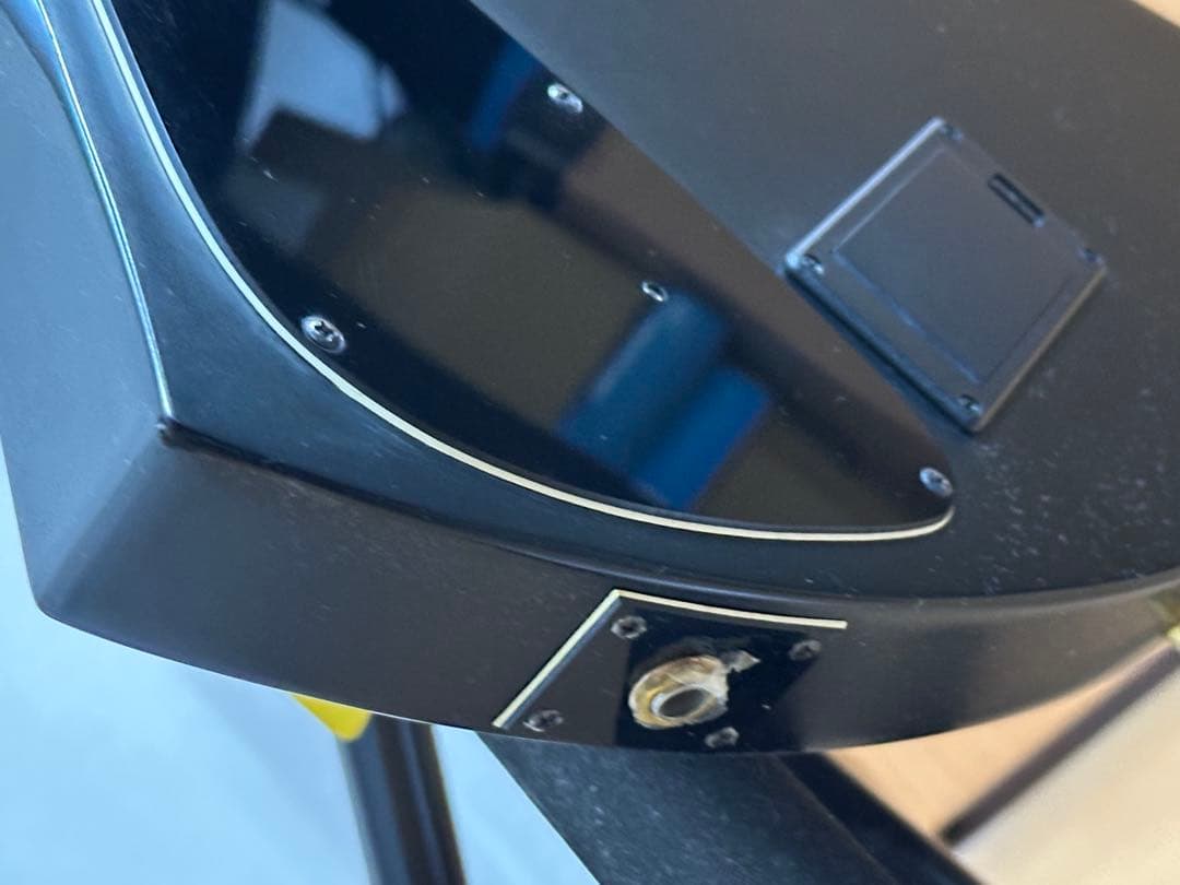 B*i様 FERNANDES フェルナンデス Burny mg-125s 後期 - メルカリ