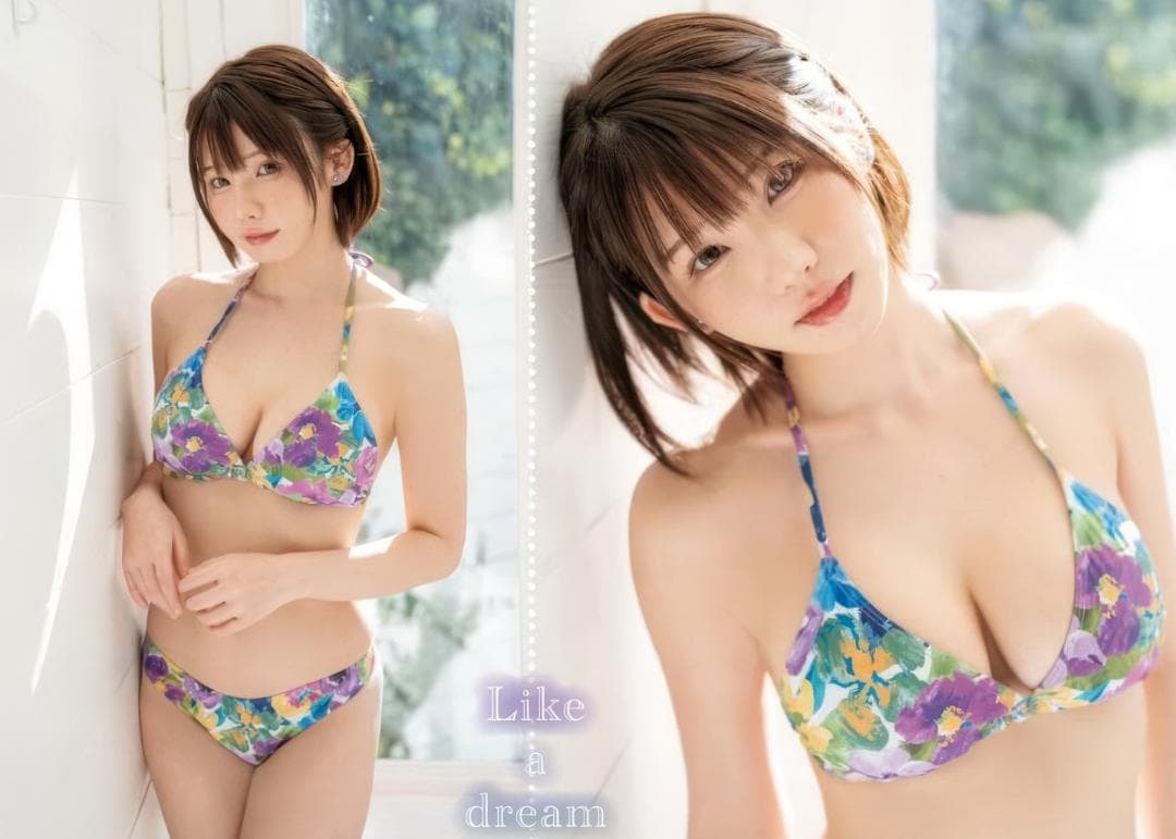 えなこA4サイズピンナップ12枚組 えなこA4サイズピンナップ12枚組