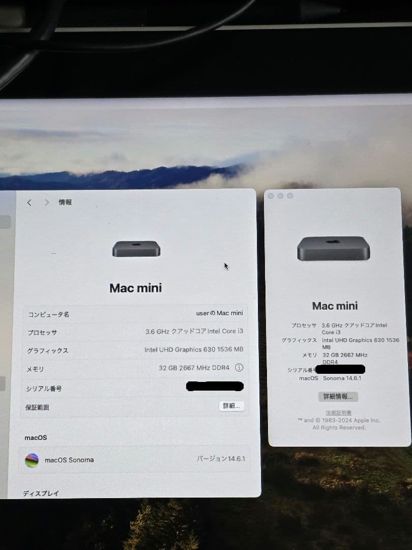 【メモリ32GBに増設済】Mac mini 2018 Core i3
