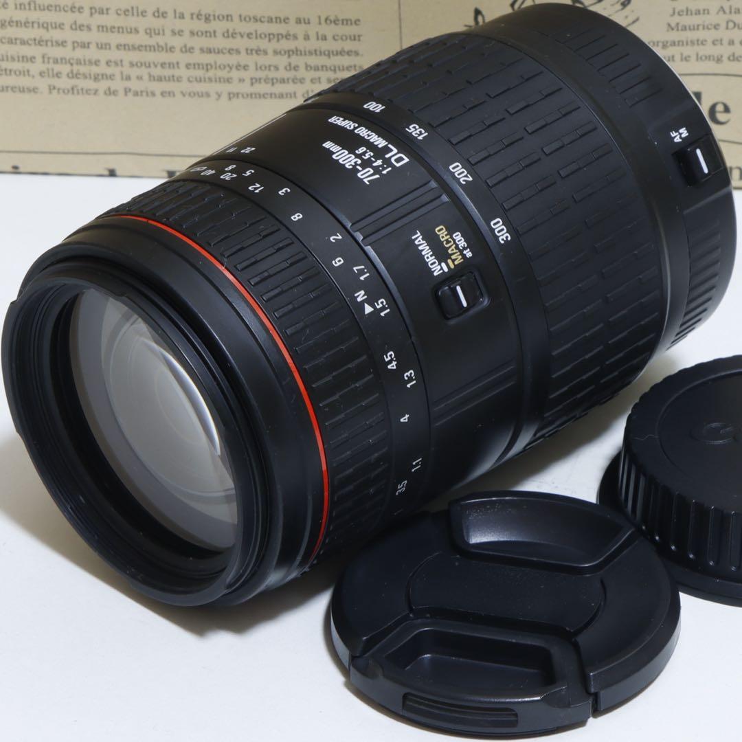 ◇大迫力300mm超望遠◇ Sigma 70-300mm for Canon