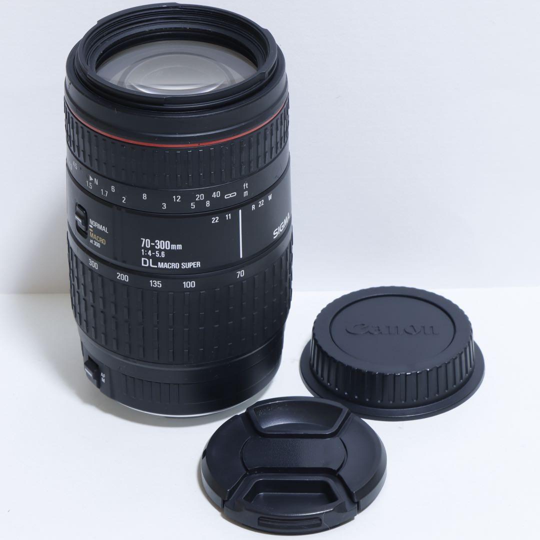 ◇大迫力300mm超望遠◇ Sigma 70-300mm for Canon