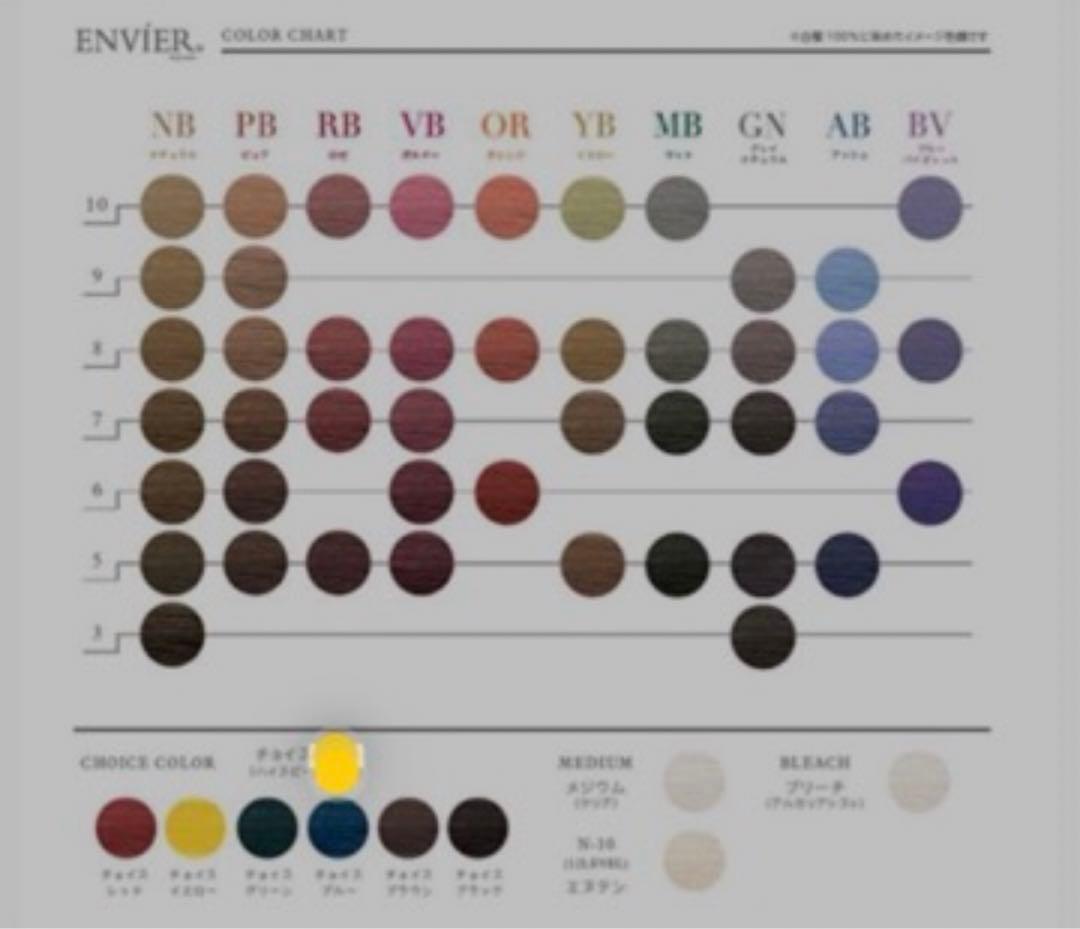 ようこ様専用⭐︎アンヴィエヘアカラー剤VB-5 48本と様々な色味47