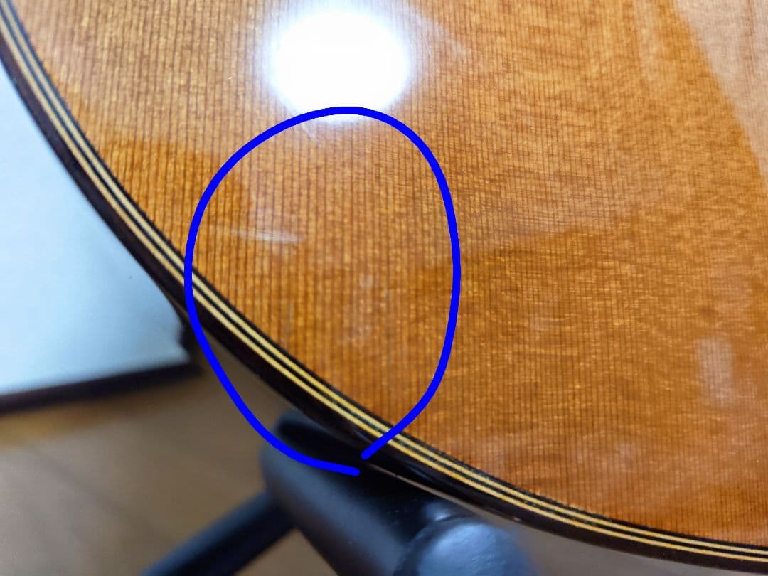 Jose Ramirez 4N-CWE / L.R.Baggs Anthem搭載