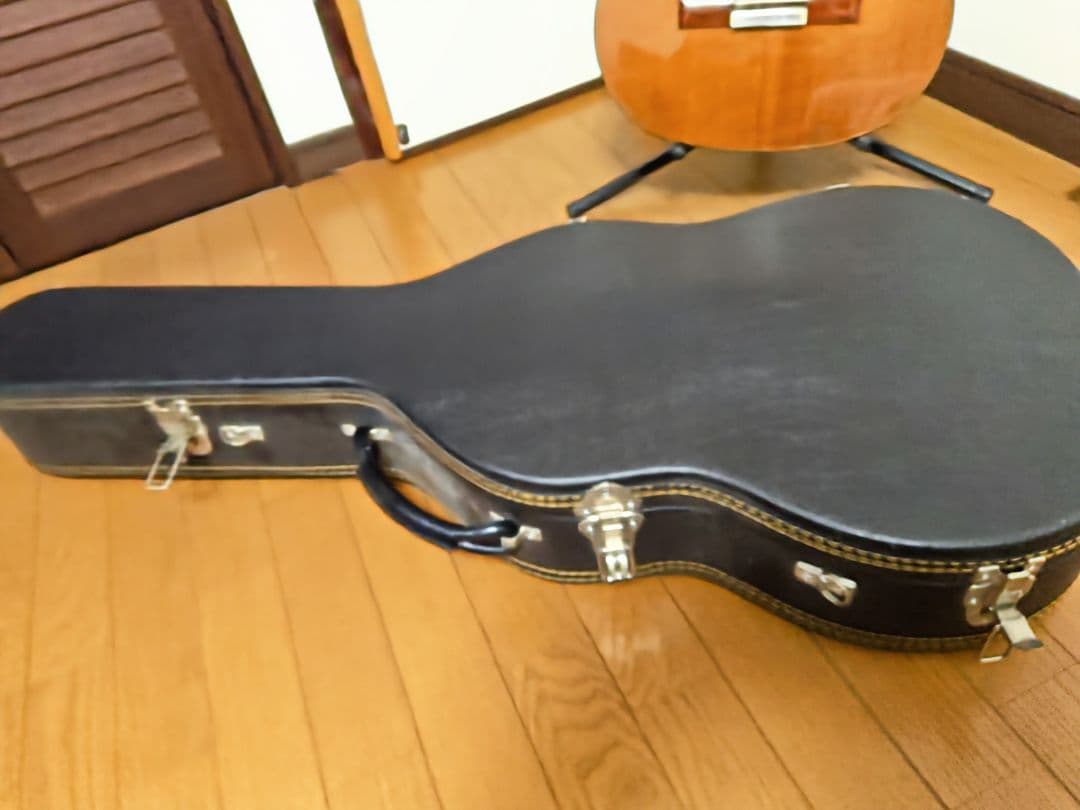 Jose Ramirez 4N-CWE / L.R.Baggs Anthem搭載