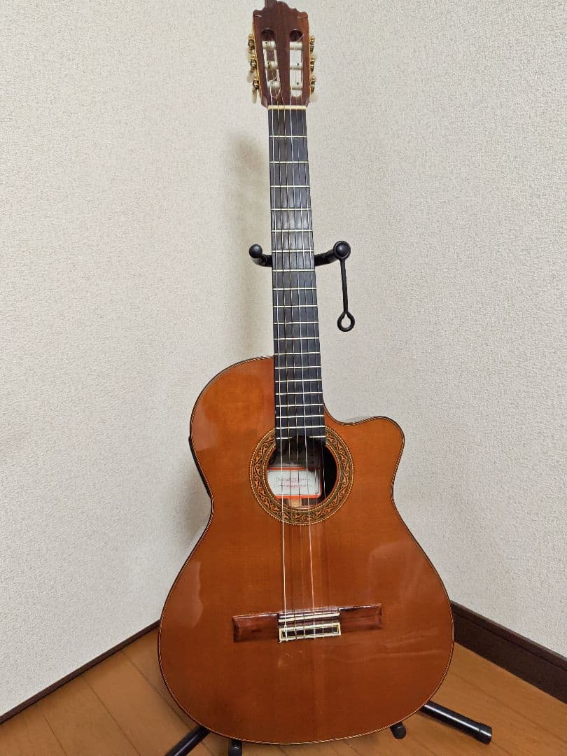 Jose Ramirez 4N-CWE / L.R.Baggs Anthem搭載